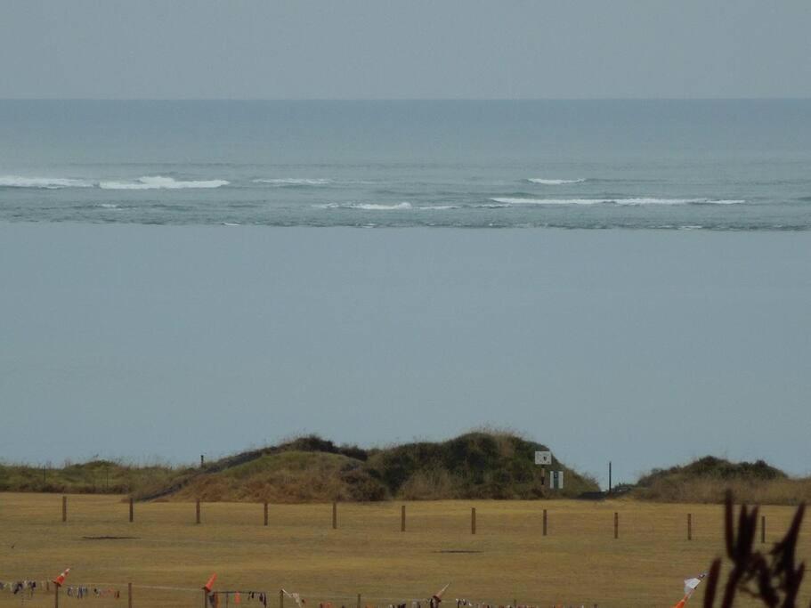 Апартаменти Raglan, Walk To Harbour And Town, Garden Views Екстер'єр фото